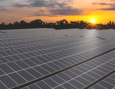 280 MW Solar Plant India